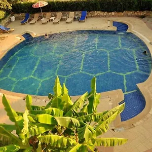 https://turtle-apart.turkeyfethiyehotels.com